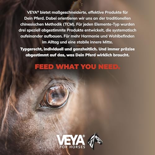 VEYA® by STRÖH Terre de type 2 Métabolisme et détoxification liquide pour chevaux (1 l) • Jus d'herbes métaboliques pour foie et reins • Avec chardon-Marie & artichaut • Pour type de terre • Fabriqué – vue 4