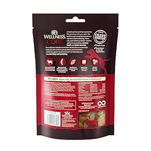   Wellness-CORE-Healthy-Joints-Crunchy-Dog-Treats-Grain-Free-8-Ounce-Bag