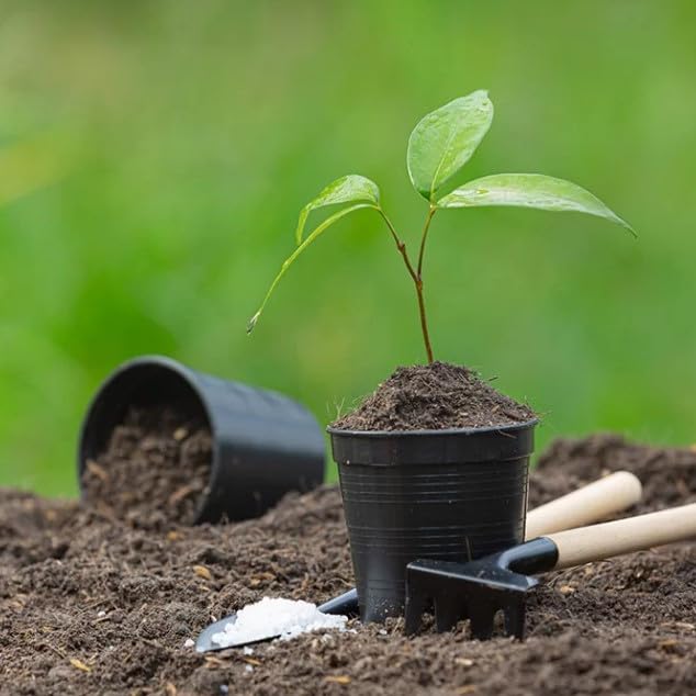 Substrato para Plantas 10 Litros de Tierra Universal con Humus