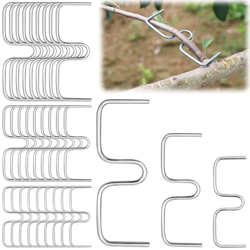 XSHAO® 30 Pcs Épandeur de Branches D'arbres Fruitiers, 8/10/13 cm Écarteurs de Branches pour Arbres Fruitiers M Branche Outil de Pliage pour Jardin/Arbre fruitier/Branche/Support de Plante