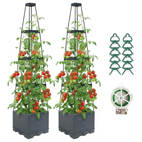 Lazzmonk 2 Pack Raised Garden Bed Planter Box with Trellis,...