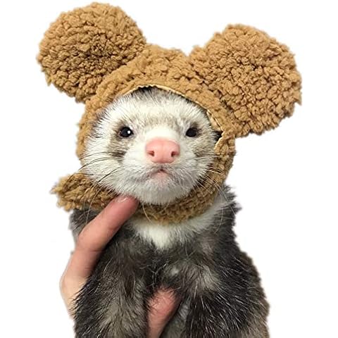 HAICHEN TEC Ferret Hat Cartoon Bear Shape Pet Cap Ferrets Small Animals Hamster Rabbit Kitten Hat Pet Supplies for Everyday Decoration Christmas Halloween Decoration Use (Bear) Cover