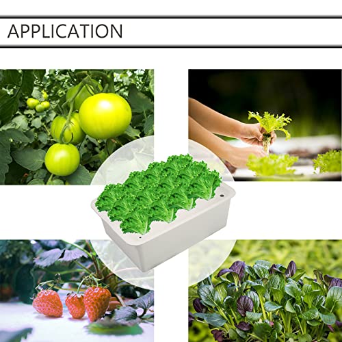 NATGAI Hydroponic System Growing Kit with Air Pump 12 Holes Soilless Cultivation Grow Box Garden Cabinet Box for Herbs, Lettuce, Vegetables - Image 6