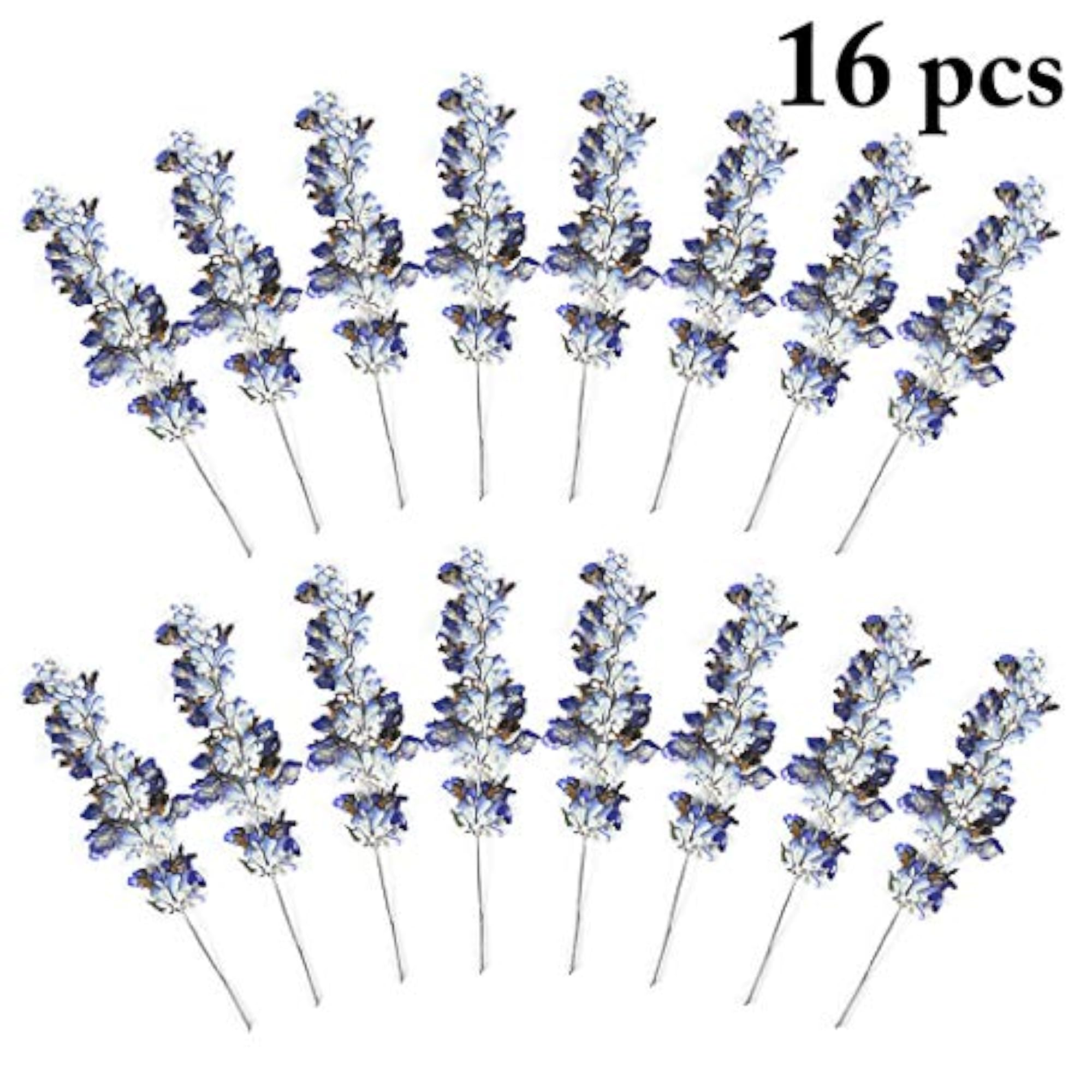 Dried Flower Multipurpose Creative DIY Funny Supplies Pressed Flower