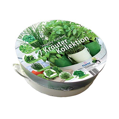 Florex Plateau 7 Herbes aromatiques