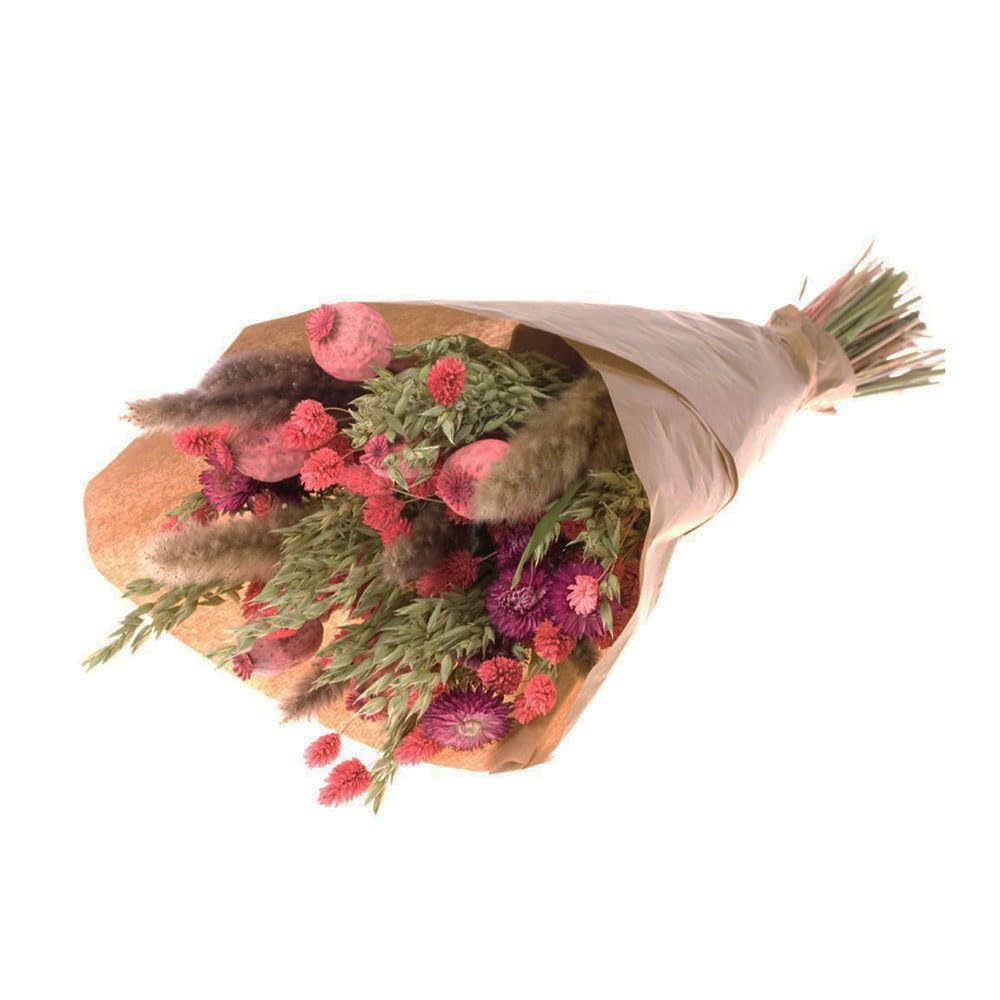 FloristryWarehouse Dried Flower Bouquet Large Pink Poppy Mix 55cm/22 Inches Tall