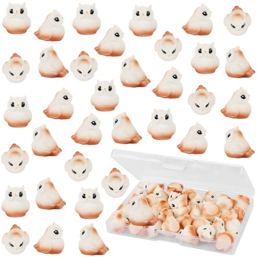 Image of UHOMENY 36Pcs Mini Resin Owl Figurines Cute Miniature Owl Sculpture Ornaments Tiny Animals Figurines Owl Cupcake Toppers for Garden Landscape Home Decor Cake Decoration DIY Crafts Car Accessories