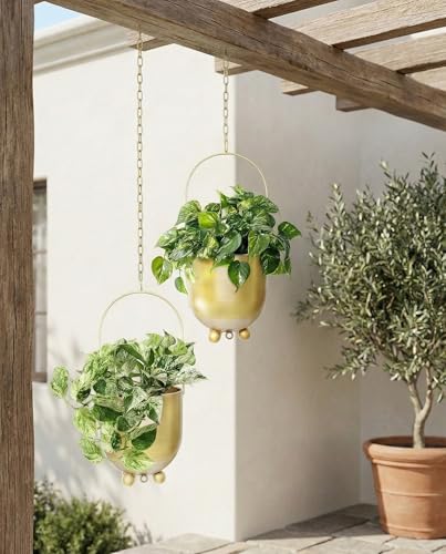 Pots de fleurs pour mur et plafond de 16 cm : le set de suspensions AceList - 8