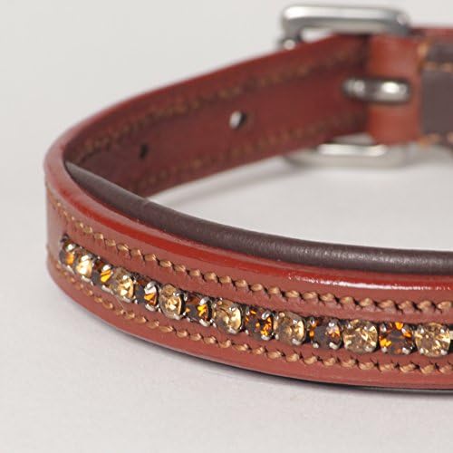 X-Small Jeweled Rhinestone Esprit Padded Genuine Leather Dog Collar