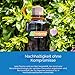 Nalgene 078701_Sustain_Weithals_Trinkflasche_1_Liter, Blau