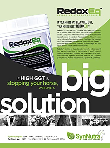 Synnutra Equine Redoxeq- For Elevated Ggt 100% Natural #TOP1