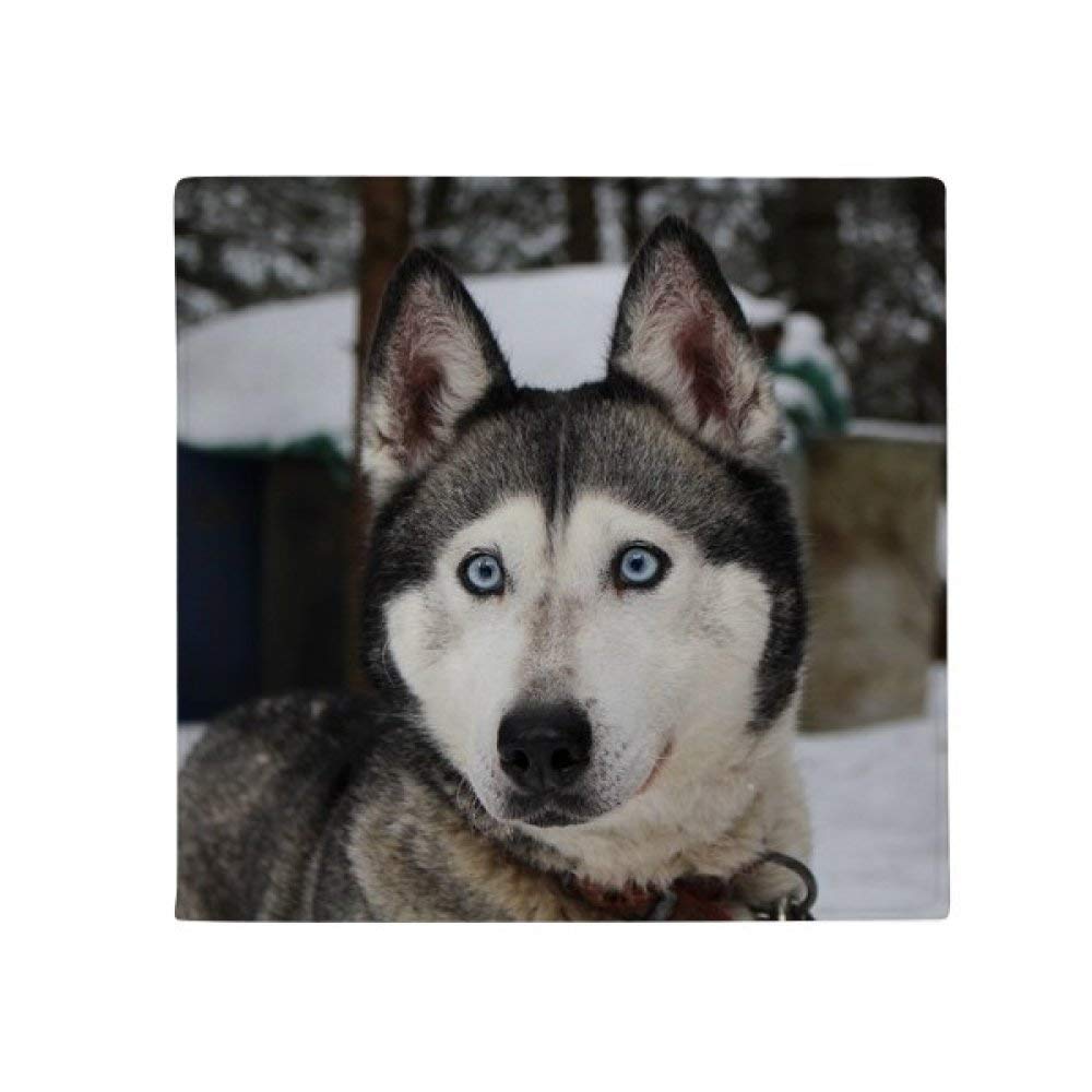 Tapis de sol Husky DIYthinker pour une décoration hivernale chaleureuse du salon