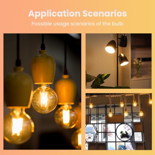 Image of Fizzytech G80 LED Filament Globe Bulb, Warm White 3500K, Clear Glass Decorative Edison Light, E26 /E27 Standard Base, Energy Efficient Lamp for Home, Bedroom, Living Room, Cafe & Restaurant - Pack of 4