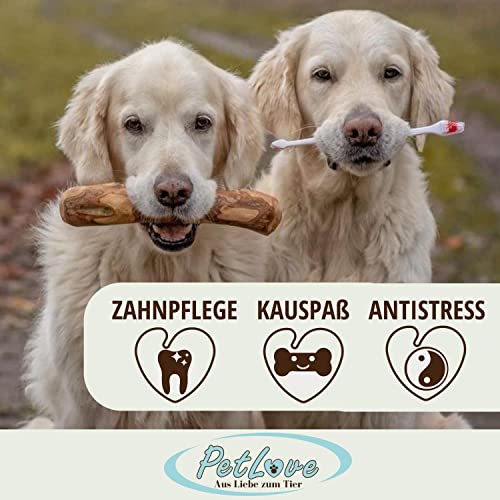 Kauholz für Hunde aus Olivenholz von PetLove als Hundespielzeug