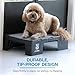 Blue-9 KLIMB Jr. Professionally Designed Dog Training Platform and DIY Guide for Behavior Basics, Made in The USA, Black