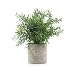 velener Mini Potted Plastic Fake Green Plant for Home Decor (Bamboo Leaves)