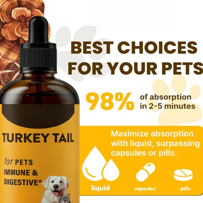 Champignon queue dinde pour chiens, pour levures et démangeaisons cutanées | Santé immunitaire, digestif, peau, énergie, soutien vitaminique des articulations, curcuma et probiotiques