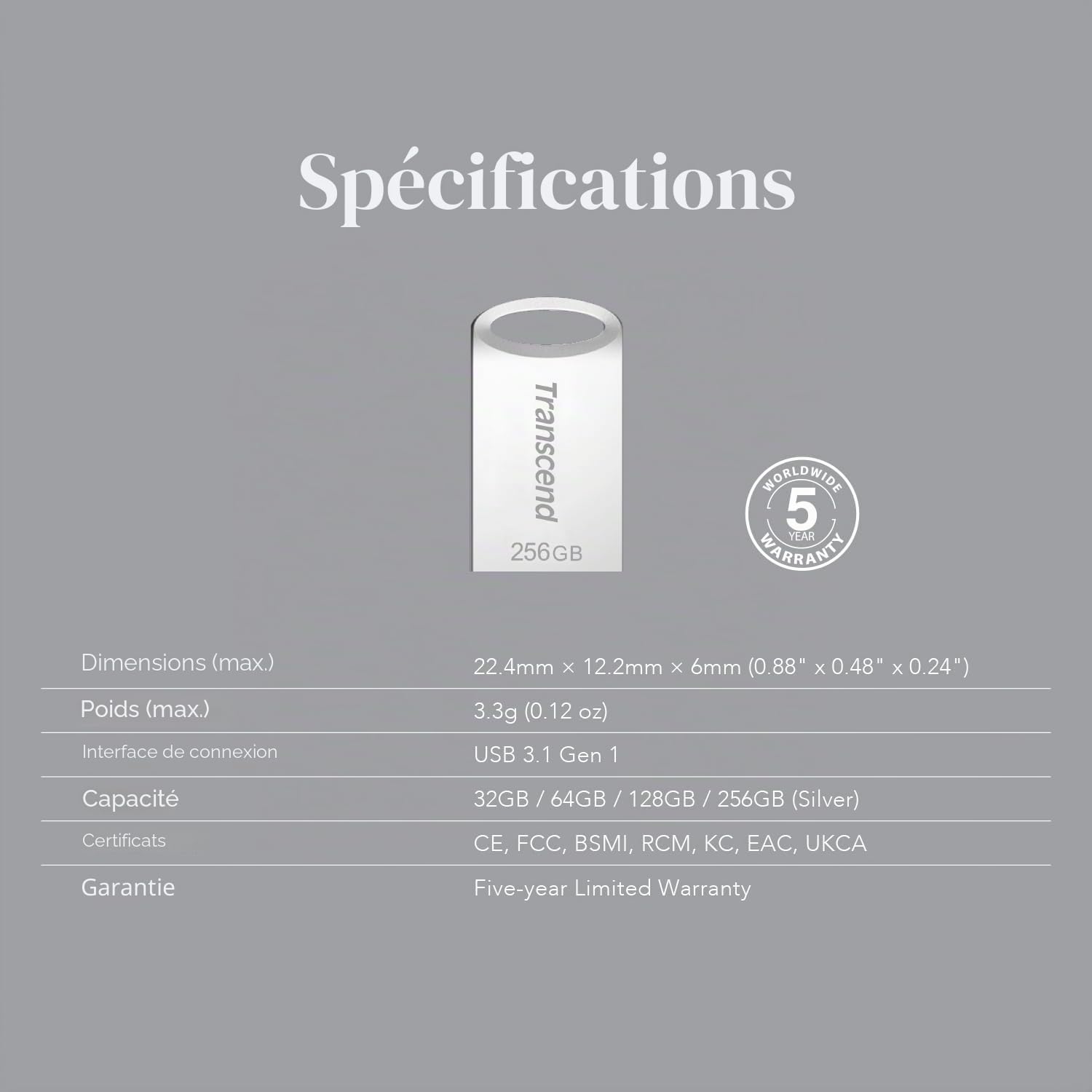 Transcend JetFlash 710S Clé USB 256GB, Petite et compacte 3.1 Gen 1 (pour Porte-clés), Argent - TS256GJF710S