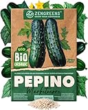 ZenGreens® - Semillas de pepinobio - Semillas de verduras para cultivar fácilmente en el jardín, balcón o parterre elevado - Semillas de hortalizas - cogombro, cohombro - marketmore