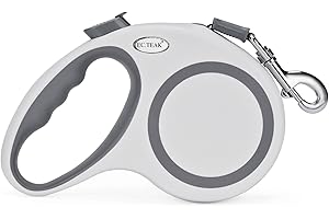 30 Foot Retractable Dog Leash: Controlled Freedom for Your Furry Friend