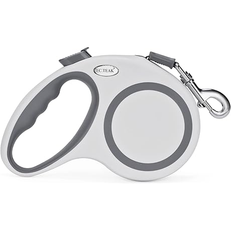 30 Foot Retractable Dog Leash: Controlled Freedom for Your Furry Friend