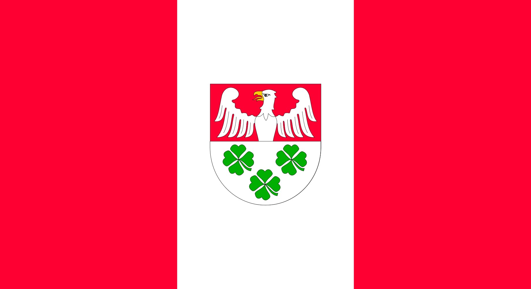 Drapeau XL POL gmina Wierzchosławice de qualité supérieure grand format