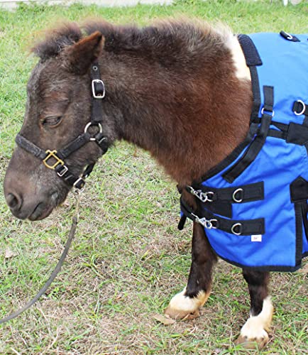 Image of Challenger 1200D Miniature Weanling Donkey Pony Horse Foal Winter Blanket 51975RB