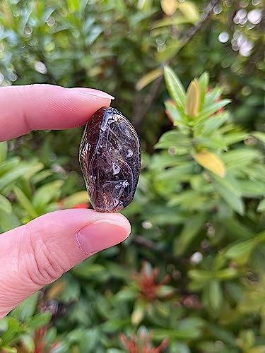 Image of GAF TREASURES 1 /2 LB Smoky Quartz Tumbled Stones, Polished Smoky Quartz Gemstone, Smoky Quartz Healing Crystals (Smoky Quartz)