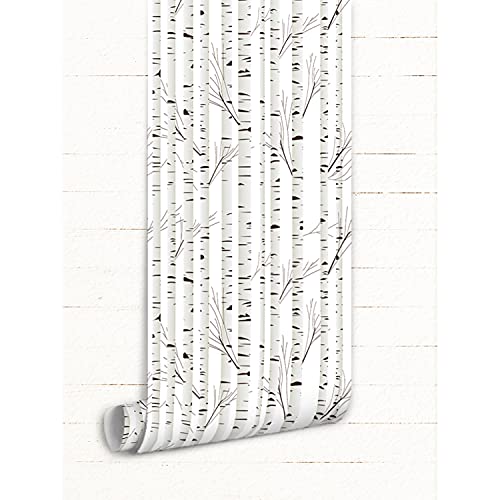 Papier Peint Magic-Stick Arbre de Bouleau Stickers Meuble Lavable