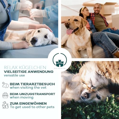 Saint Nutrition® Relax Kügelchen für Haustiere – Natürlicher Futterzusatz bei Stress & Unruhe – Unterstützt Entspannung bei Reisen, Silvester & im Alltag – Für kleine, mittlere & große Hunde - 10g