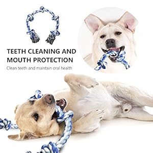 Dog Rope Toys for Aggressive Chewers, 3 Feet 5 Knots Indestructible Cotton Rope, Extra Large Breed Dog Toy, Large Dog Teeth Cleaning Tug of War Toys – Dog Trainer
