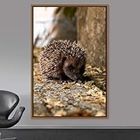 Framed Canvas Wall Art Squirrel Animals Fun Living Room Multicolor Photography Rustic Squirrel - 16x24 inches