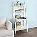 Haotian Modern Ladder Bookcase Made of Wood, Book Shelf,Stand Shelf, Wall Shelf (FRG115-W)