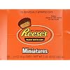Reese's Miniature Peanut Butter Cups .31oz - 105 Cup Box
