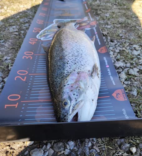 Major Fish Fish Tape Measure Trout Ruler 105 cm x 30 cm with Stop - Image 4
