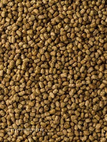 Mazuri Juvenile Tortoise Food 8 oz, Pack de 2 miniatura 6