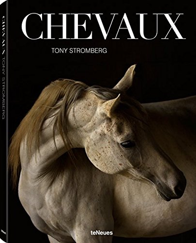Chevaux: by Tony Stromberg (PHOTOGRAPHY)
