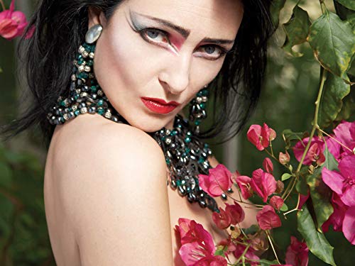 Siouxsie And The Banshees