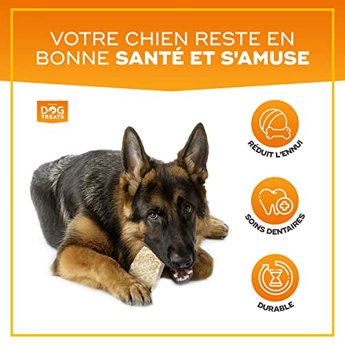 Natural Dog Treats - Damhirschgeweih für Hunde - Natürlich Kauknochen Hund - Geweih für Große Hunde - Kaustangen Hund - Kauspielzeug und Zahnpflege - Hundespielzeug - Große Größe (101-150g)