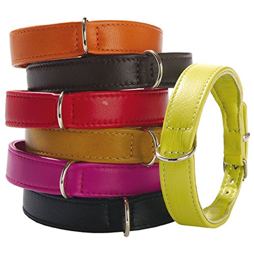 Collier pour chien noir Bobby Escapade taille 30 finition soignée