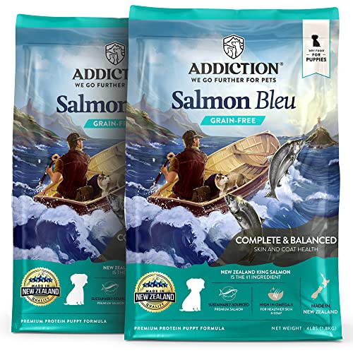 Top 10 Dry Dog Foods Ranked of 2022 Katynel