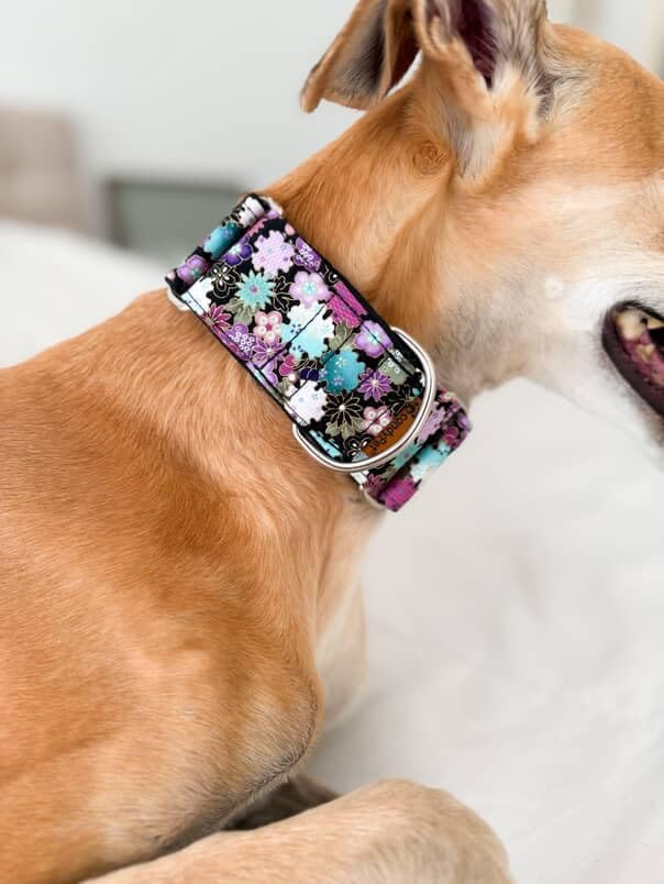 candyPet Martingale Hundehalsband, Liberty, M