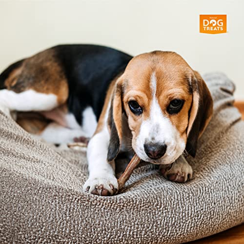 Natural Dog Treats - Nerfs de Bœuf pour Chien - Bâtons de bœuf - Bully Sticks Chien - Tendon de Bœuf de Qualité Supérieure 100% Naturel - Friandises pour Chien - 5 Pièces de 15 cm - Image 6