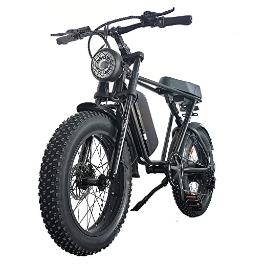 Electric Bike for Adults1000w Electric Bicycle 20" Fat Tire E Bike 31MPH, Removable Battery Beach Snow Mountain Off Roading Bike Moped Shimano 7 Speed and Dual Shock Absorber Dirt Bike (1000W black)