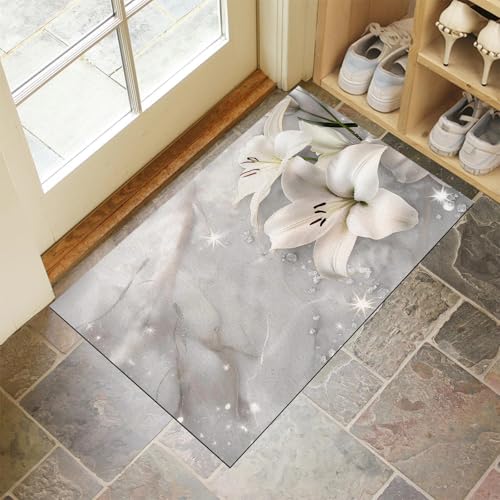 Tapis lavable absorbant pour stopper la boue dans votre entrée - 2