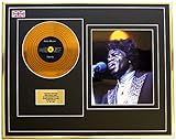 Limité à seulement 100 Everythingcollectible James Brown/Mini Metal Gold Disc & Photo Display/ÉDITION LIMITÉE/COA/Gravity