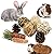 LLGLEU 2 Pcs Grass Mat for Rabbit with 4 Play Balls Pine Cone Carrot Bunny Chew Toy Natural Woven Bed Mat Molar Teeth Set for Guinea Pig Chinchilla Squirrel Hamster and Small Animal (Typ1)