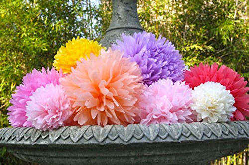 Orino8482; Pom Poms - 5pcs 2 Sizes Tissue Paper Flowers, Tissue Paper Pom Poms, Wedding Decor, Party Decor, Pom Pom Flowers, Tissue Paper, Tissue Paper Flowers Kit, Pom Poms Craft, Wedding