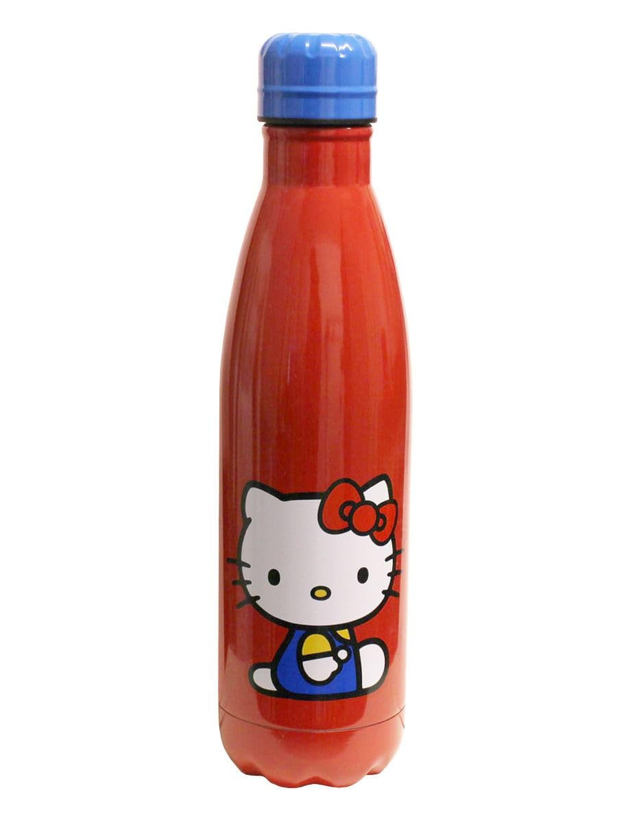 Hello Kitty Sitting Pretty Metal Drinks Bottle 560ml / 19oz, Official Sanrio Licensed Reusable Water Bottle, Stainless Steel Hydration Bottle for School, Work & Travel