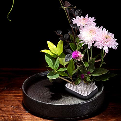 AUNMAS Flower Pin Holder Rectangular Stainless Steel Needle Ikebana Kenzan Tools for Flower Arranging